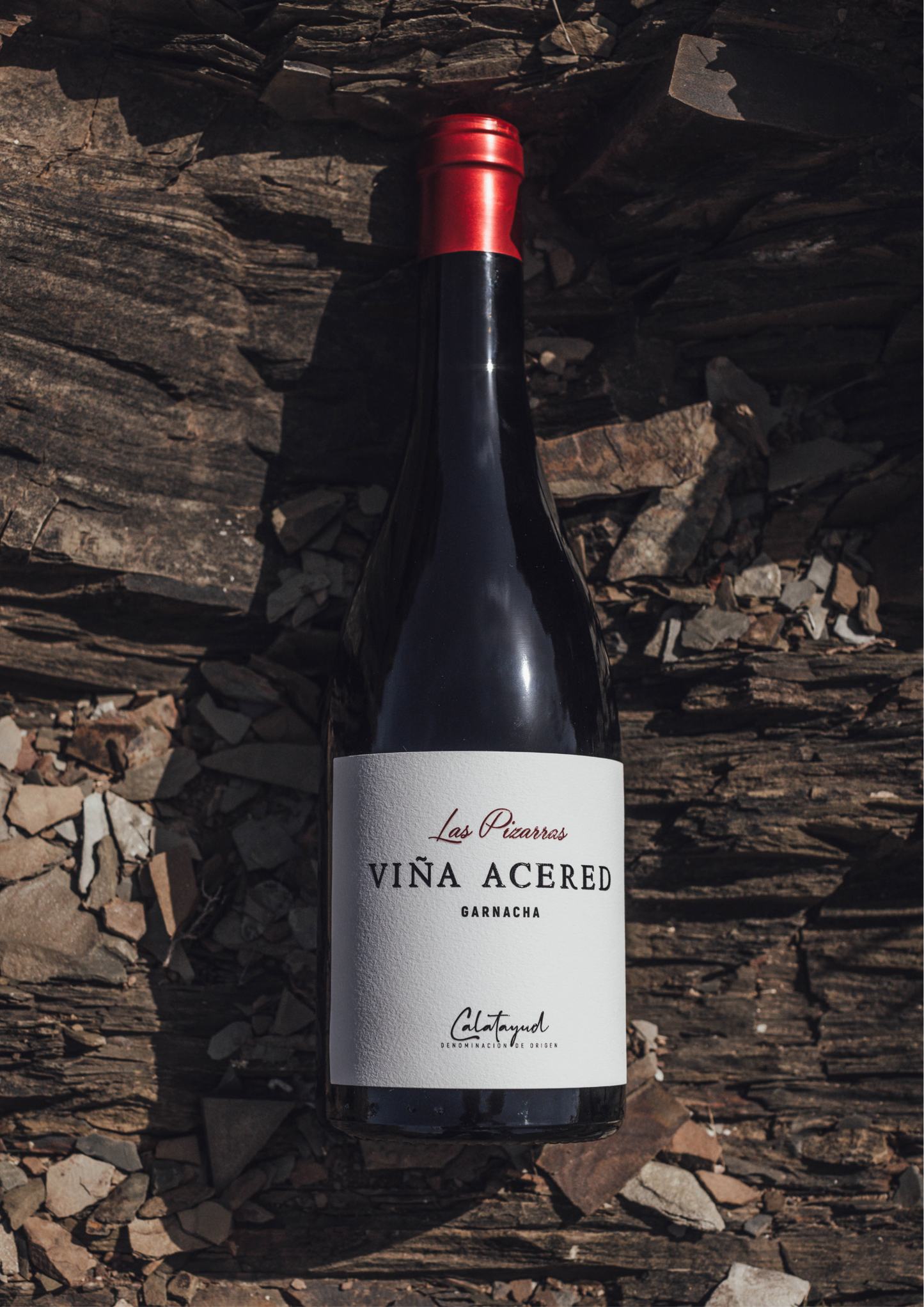 LAS PIZARRAS | Viña Acered