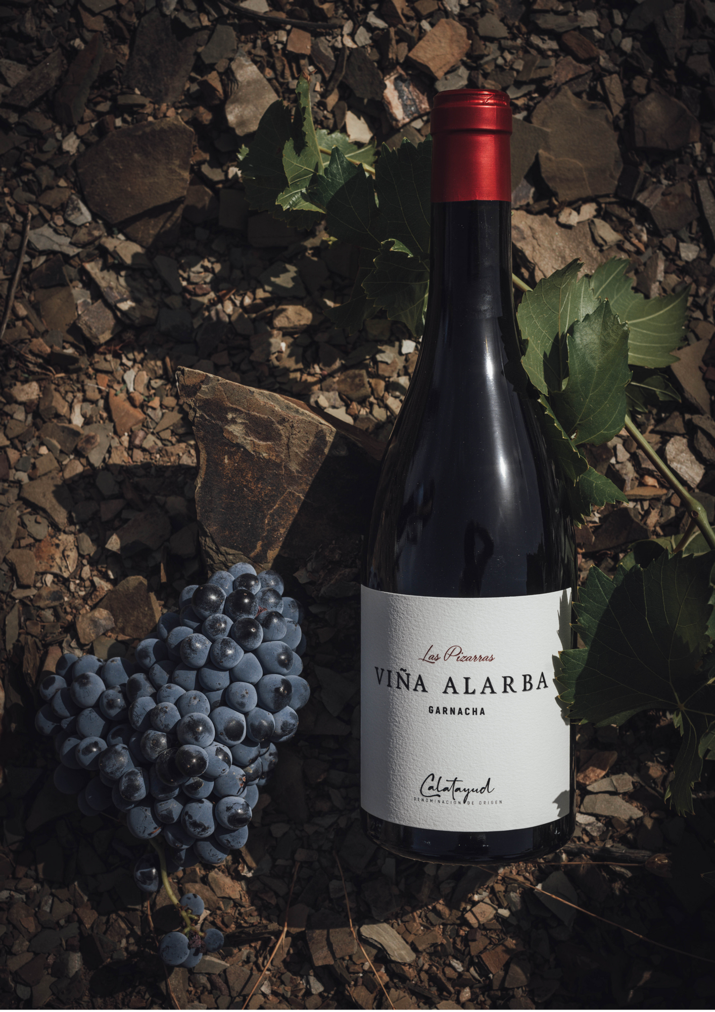 LAS PIZARRAS | Viña Alarba