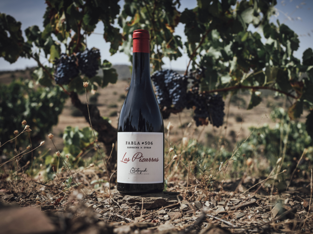 LAS PIZARRAS | Fabla