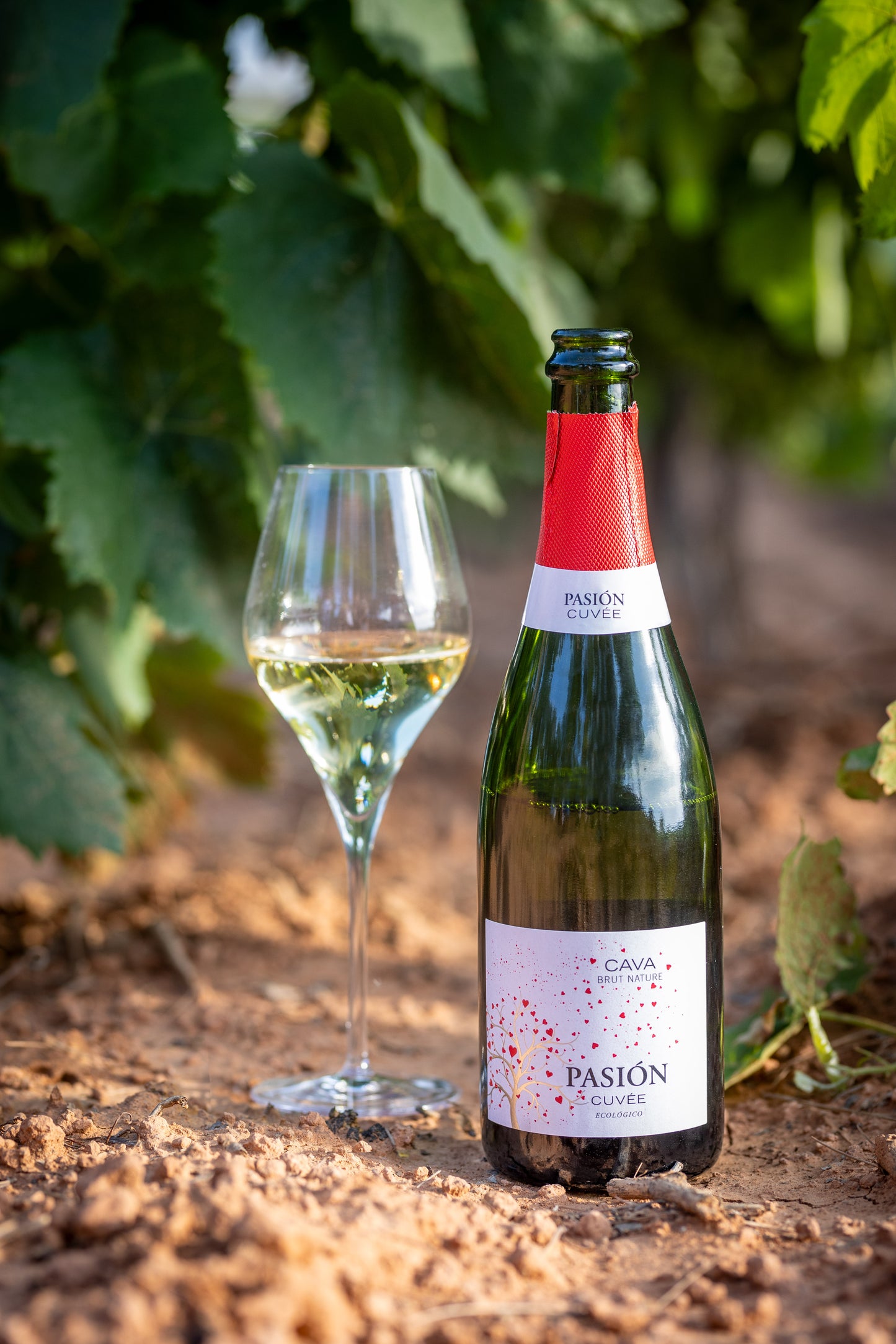 PASIÓN | CUVÉE Brut Nature