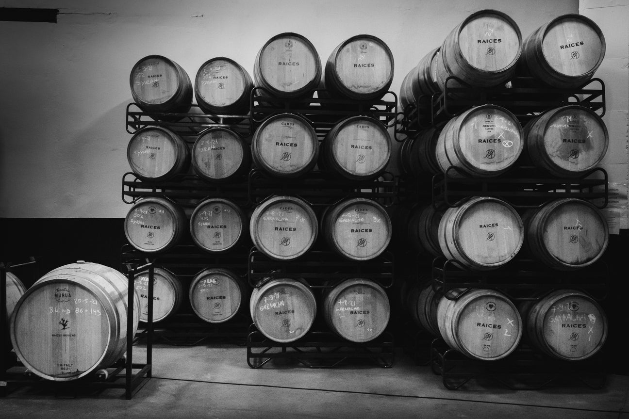 Visite et dégustation à Raíces Ibéricas