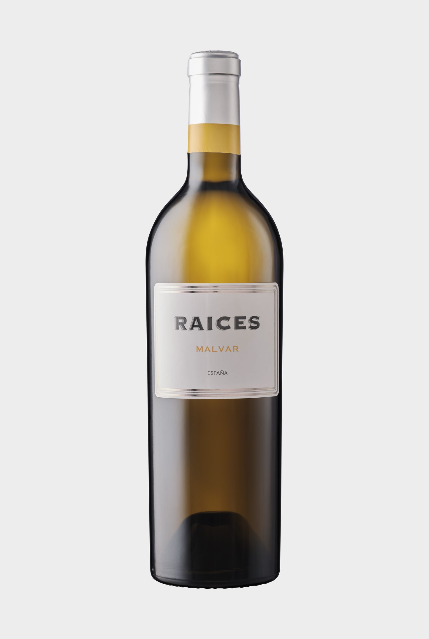 RAÍCES | Malvar
