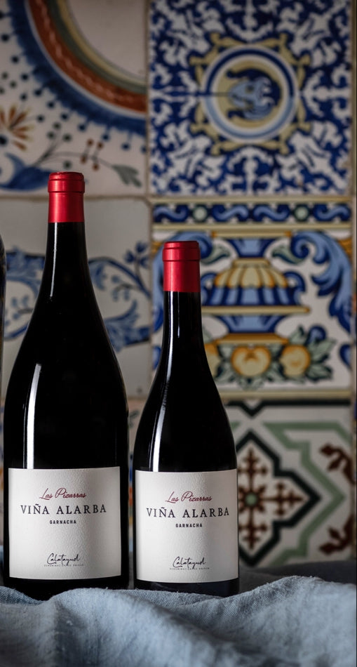 LAS PIZARRAS | Viña Alarba botella MAGNUM