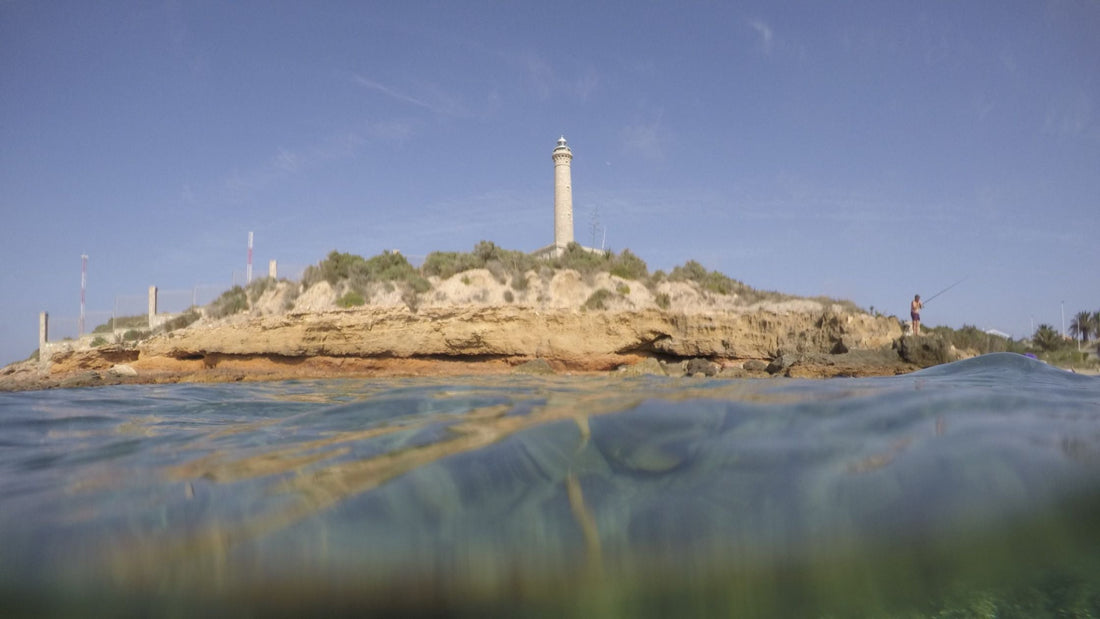 Raíces On Tour: Murcia, Monastrell y un arroz que no se olvida