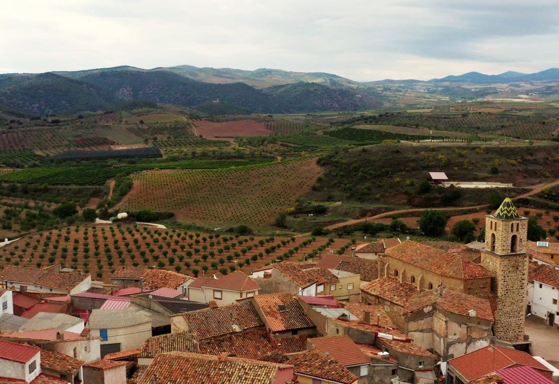 Raíces Ibéricas On Tour: De ruta por la DO Calatayud