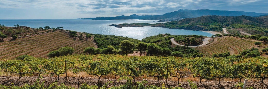 Raíces Ibéricas On Tour: tres destinos mediterráneos para winelovers este verano