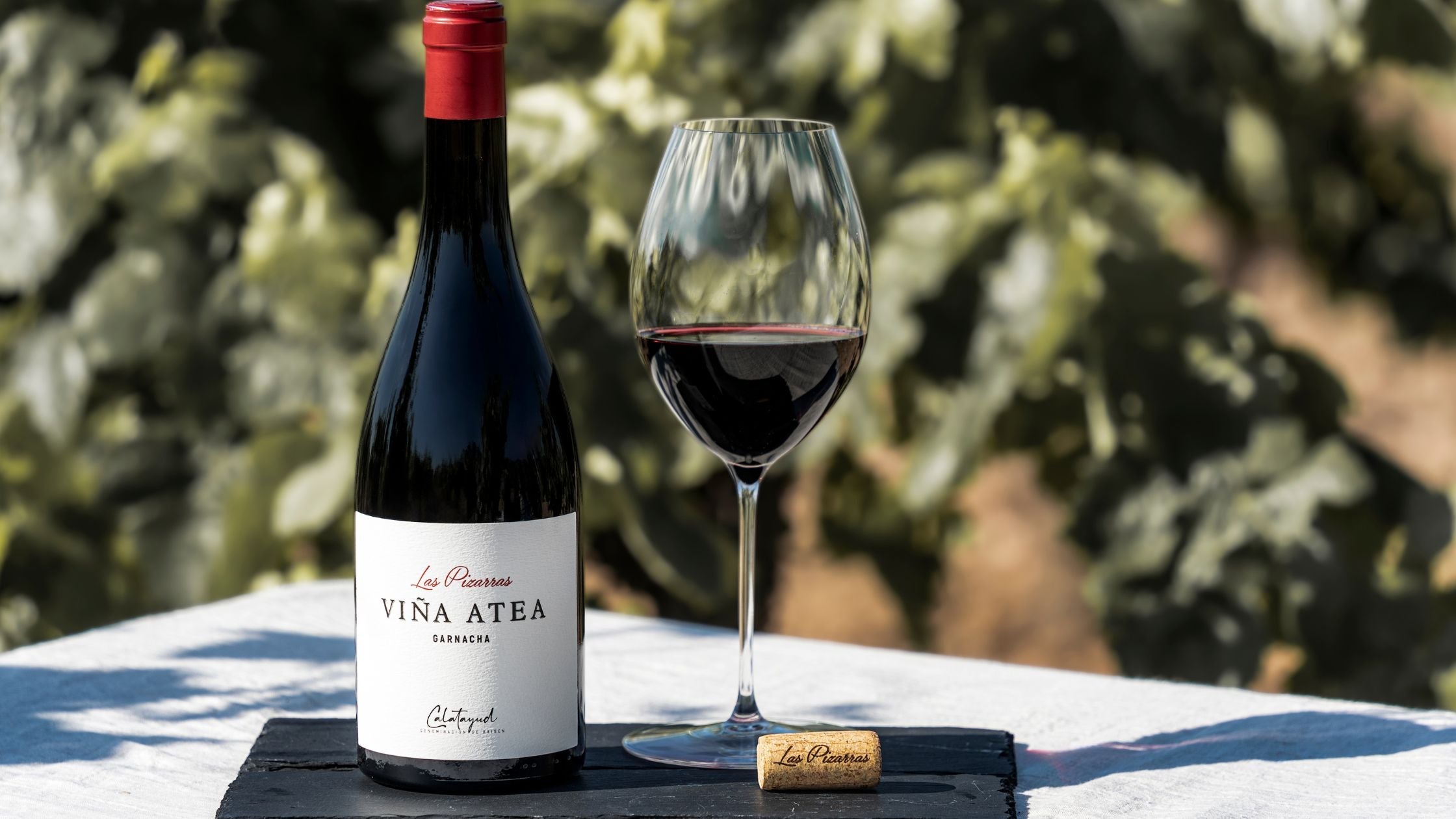 La familia Las Pizarras crece: llega Viña Atea