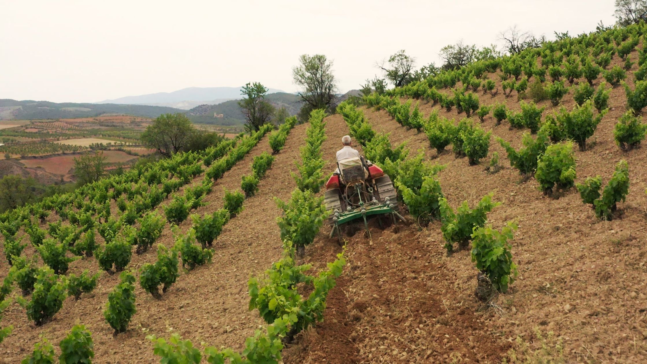 Aragón entra en el Atlas Mundial del Vino y Las Pizarras ocupan puesto de honor