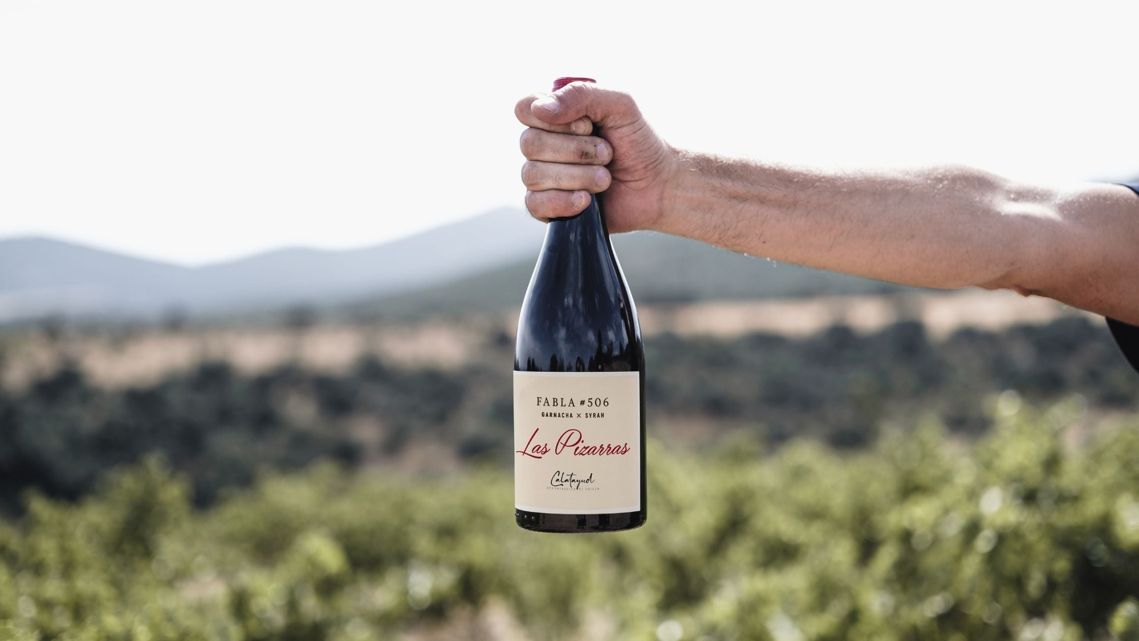 Fabla #506 toca el cielo en Decanter con 95 puntos y medalla de oro