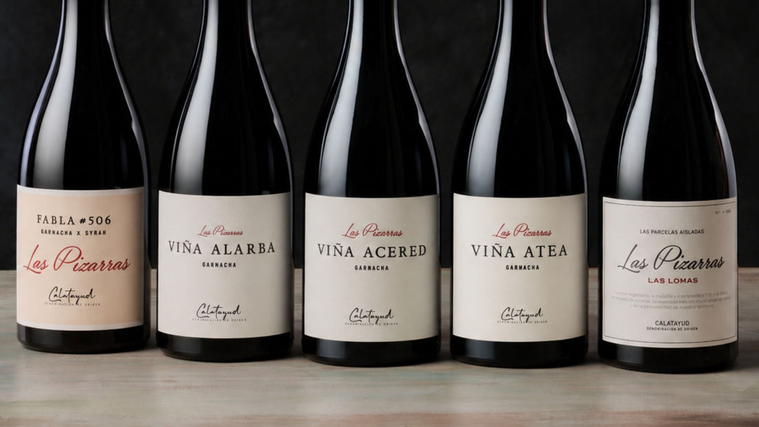 Las Pizarras: 93 razones para mirar a Calatayud según Wine Enthusiast