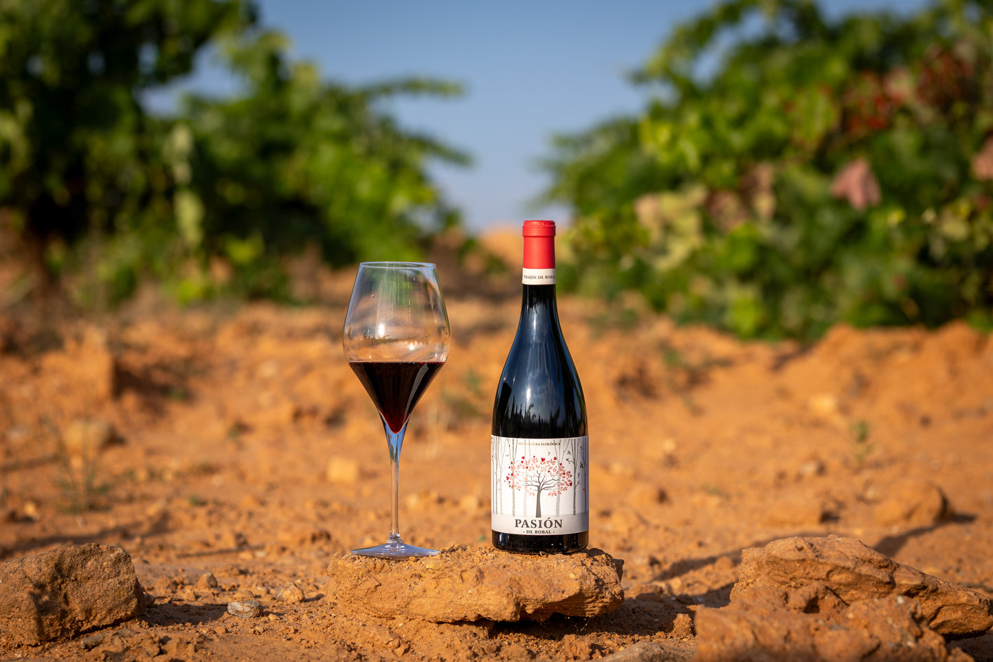 PASIÓN | Bobal Tinto