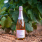 PASIÓN | CUVÉE Brut Rosado