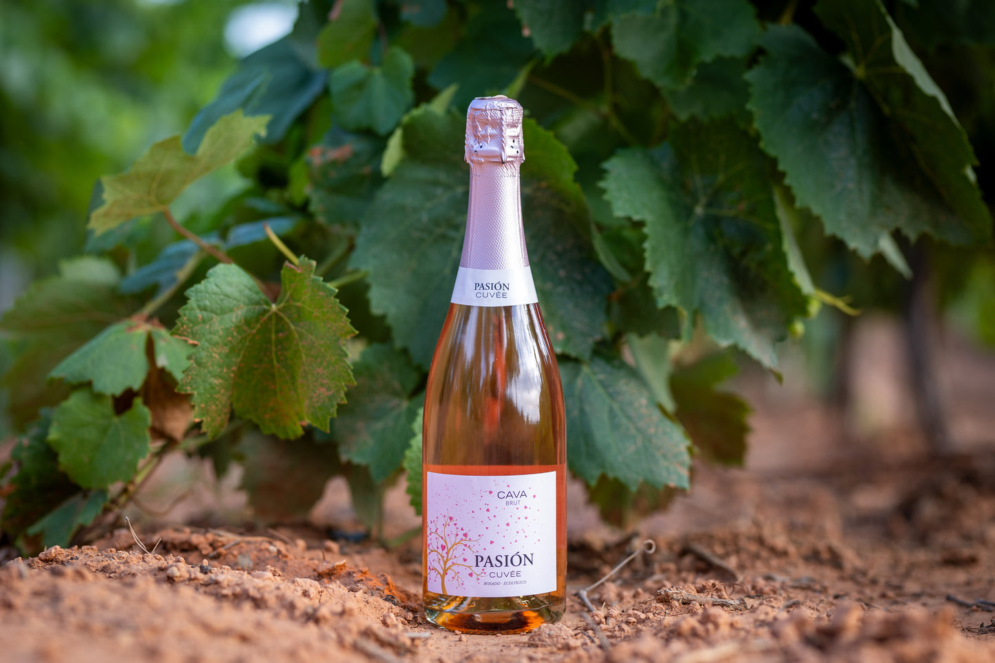 PASIÓN | CUVÉE Brut Rosado